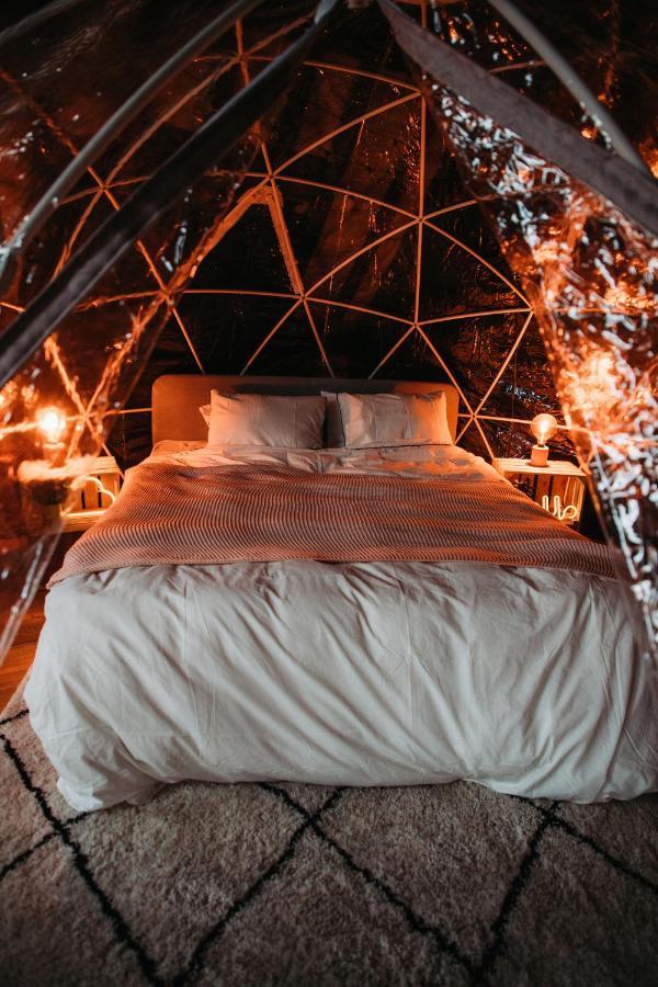 Апартаменты Cocoon Брюссель Экстерьер фото